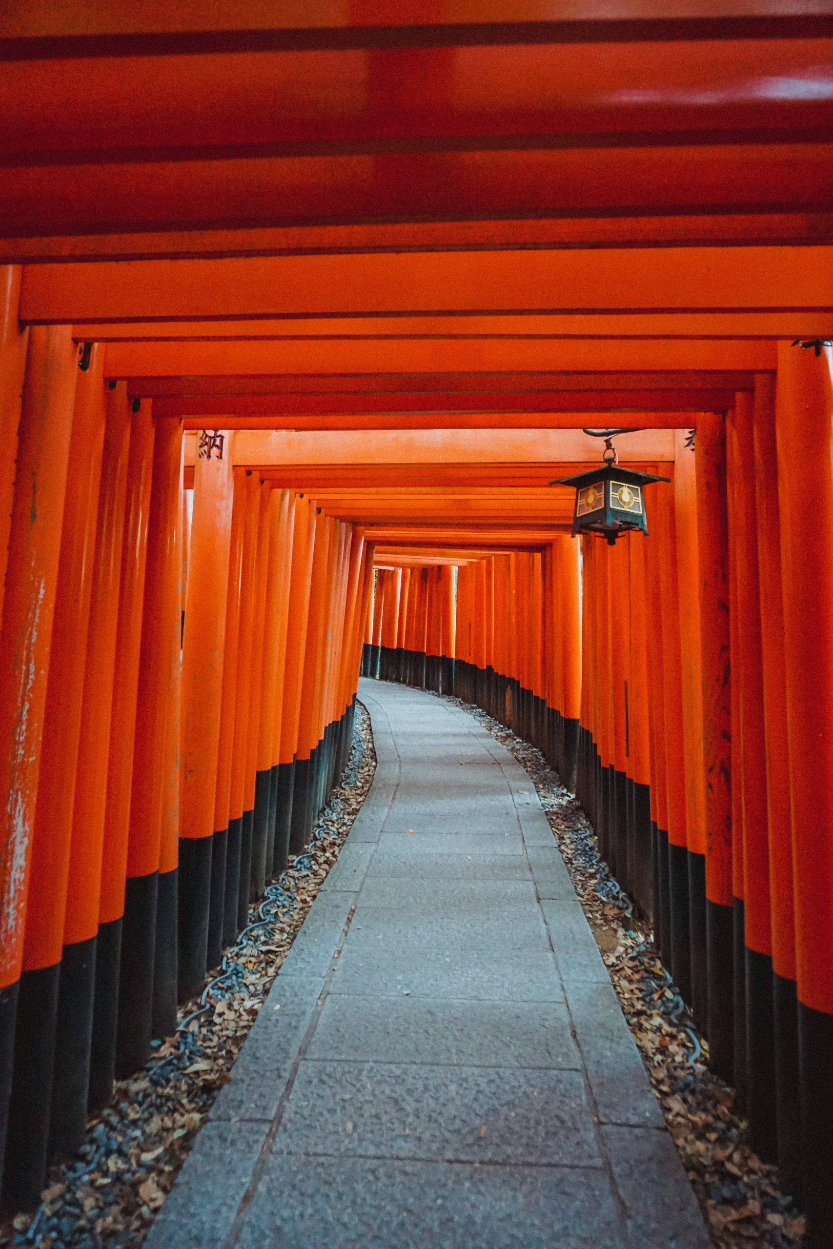 Visiter Kyoto en 3 jours les indispensables The Self Starters