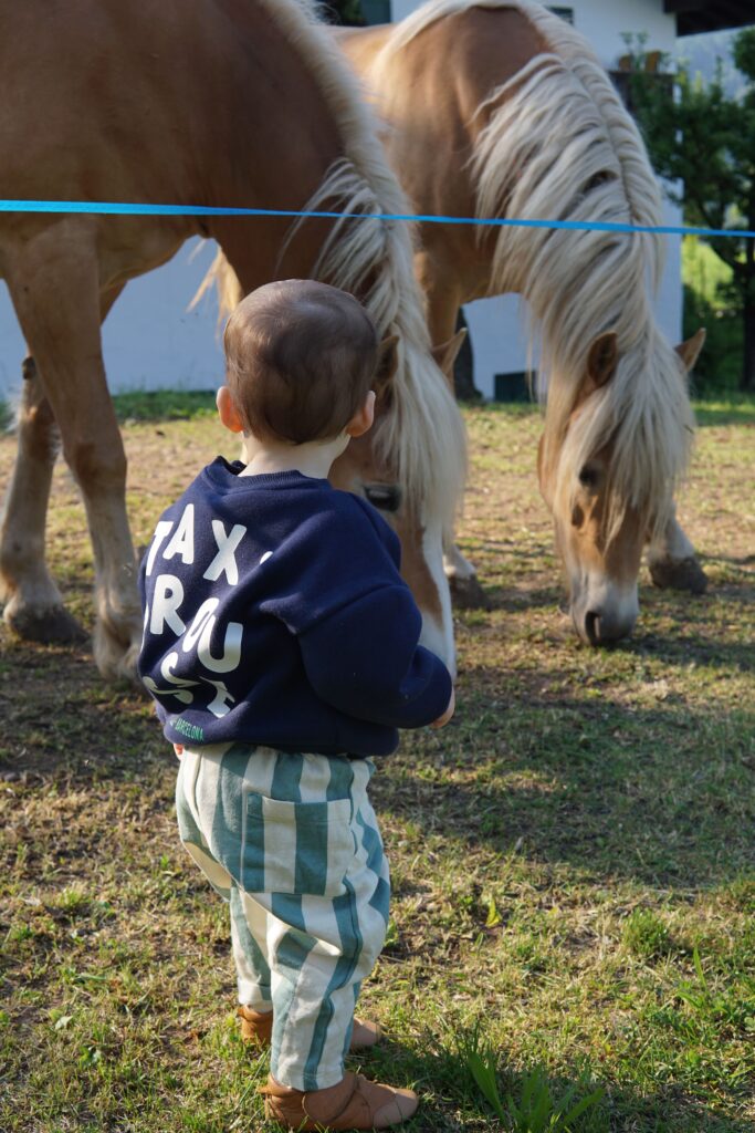 bébé voyage dolomite